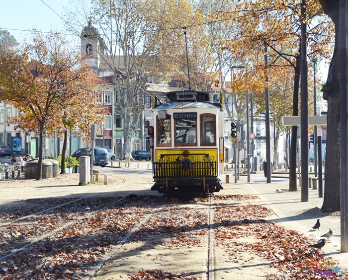 10 coisas para fazer no Porto
