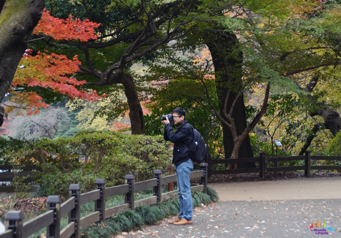 5 parques para conhecer em tóquio