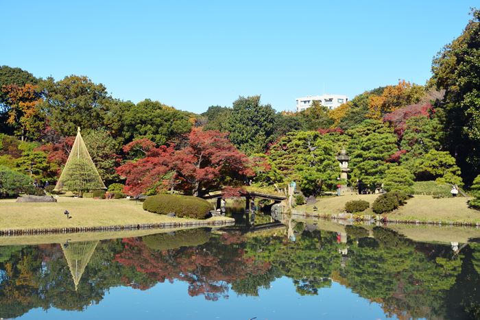 rikugien garden toquio